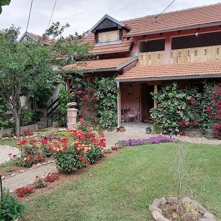 Apartman Mika Sokobanja Exterior foto