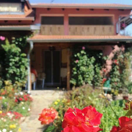Apartman Mika Sokobanja Exterior foto