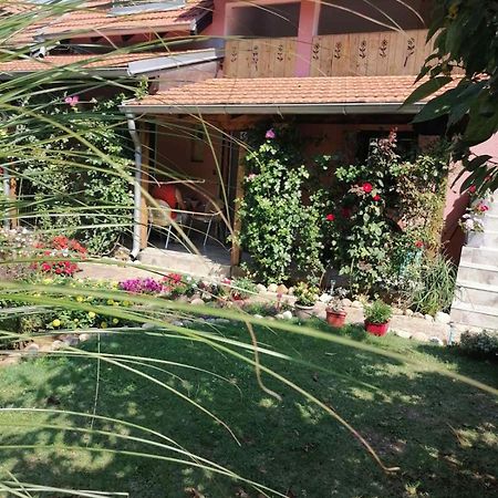 Apartman Mika Sokobanja Exterior foto