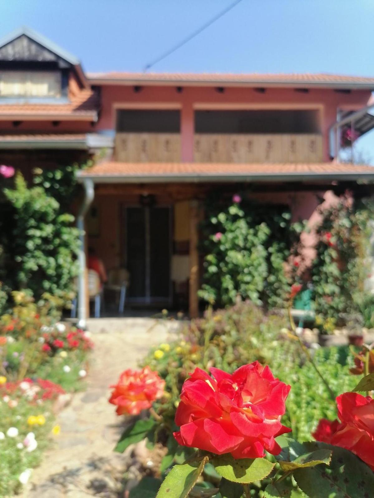 Apartman Mika Sokobanja Exterior foto